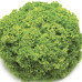 Салат Смарагдовий (GL Seeds)