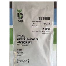 Огірок Анзор F1 ( Bejo Zaden)