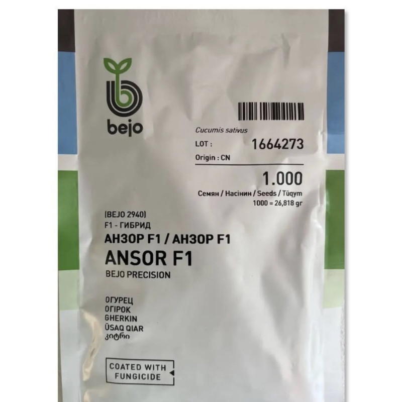 Огірок Анзор F1 ( Bejo Zaden)