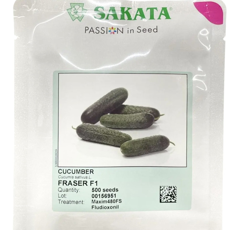 Огірок Фрайзер F1( Sakata)