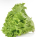 Салат Латук Кришталевий (GL Seeds)