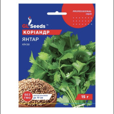 Коріандр (Кінза) Янтар