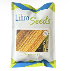 Libra Seeds Кукурудза Пантеон F1