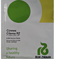 Капуста Сілема F1 (Rijk Zwaan)