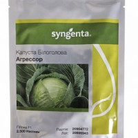 Капуста Агресор F1 ( Syngenta)
