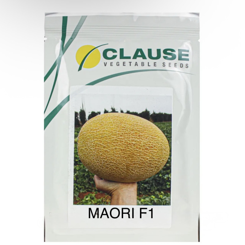 Clause Диня Маорі F1