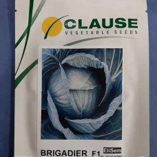 Бригадир F1 (Clause)