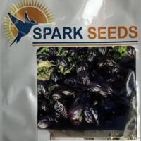 Spark Seeds Базилік Віолет Кінг