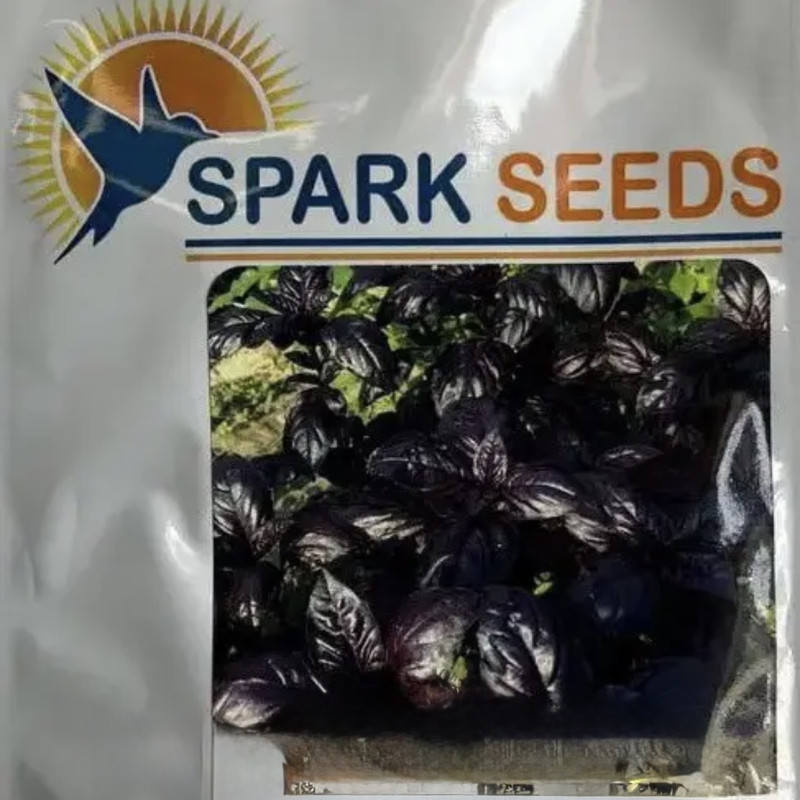 Базилік Віолет Кінг (Violet King)