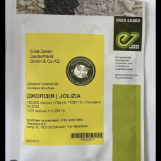 Рукола Джолізія (Enza Zaden)