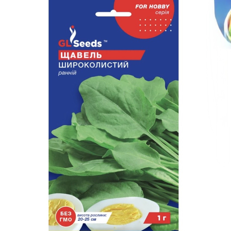 Щавель Широколистий