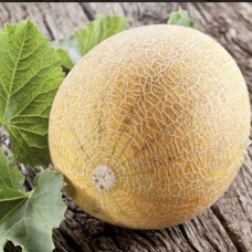 Диня Колхозниця Вагова 