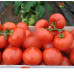 Томат Максін F1 (Hazera)