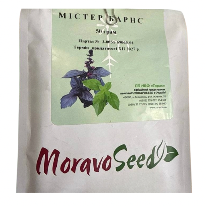 Базилік Містер Барнс (Mr. Barns)