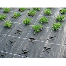 Агроволокно Чорне Р-50, (1,6 м*100 м), Premium - Agro Польща