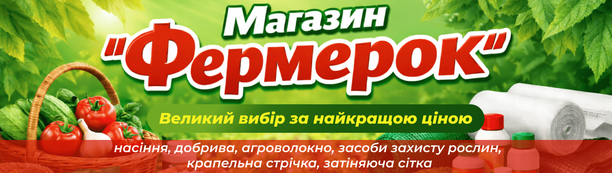 Акційні товари