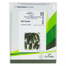 Seminis Огірок Маша F1