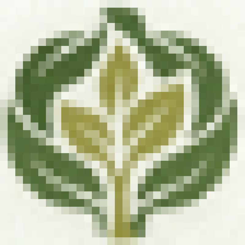 Томат Сакура F1 ( Enza Zaden)