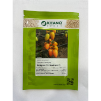 Томат Бенігара F1 (Benigara F1)