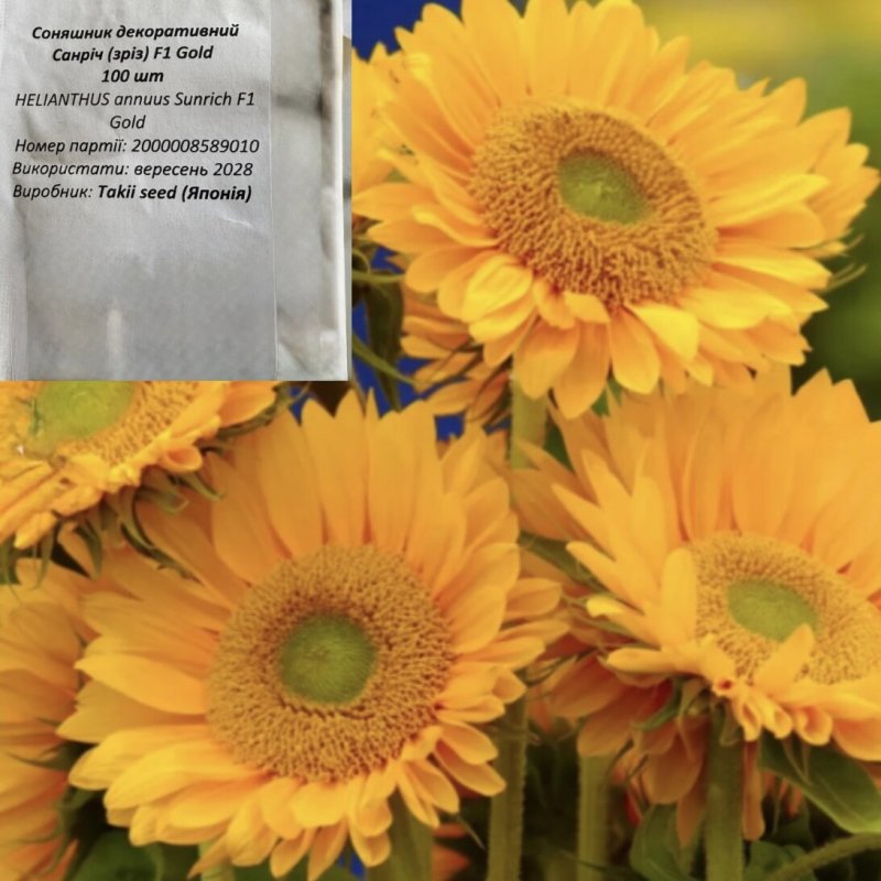 Соняшник декор.Санріч голд 10шт