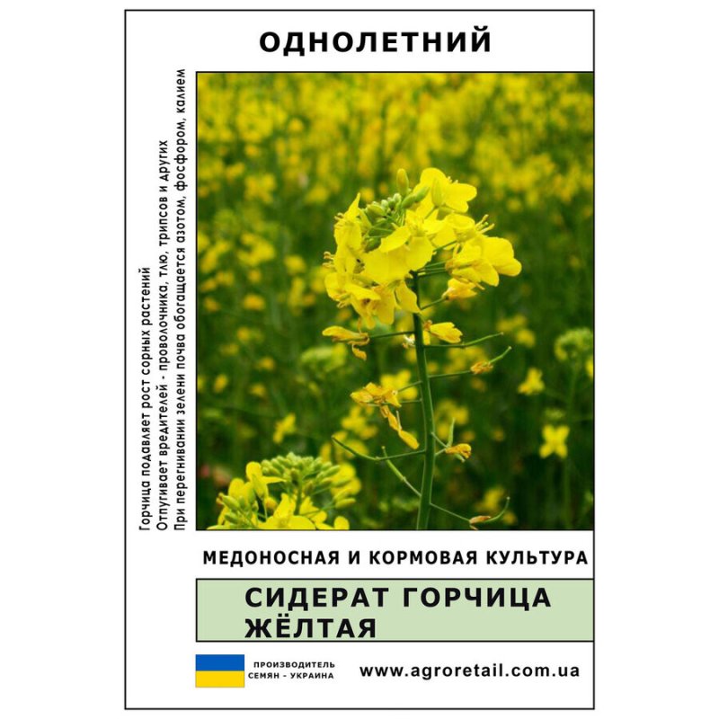 Гірчиця жовта 1кг Гірчиця жовта 1кг