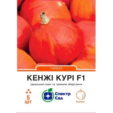 гарбуз Кенжі Курі 5шт гарбуз Кенжі Курі 5шт