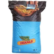 кукурудза ДКС 3972 (ФАО 300) 500 г кукурудза ДКС 3972 (ФАО 300) 500 г