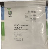 Bejo Буряк Пабло F1