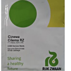 Rijk Zwaan Капуста Сілема F1 Rijk Zwaan Капуста Сілема F1