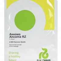 Rijk Zwaan Капуста Анкома F1