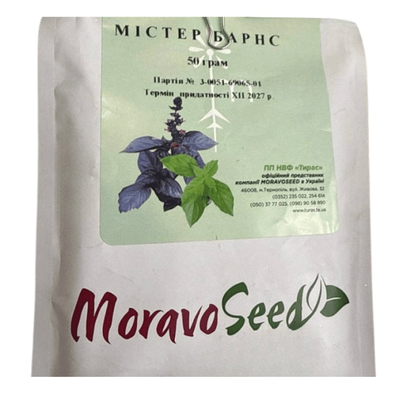 Moravoseed Базилік Містер Барнс