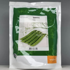 Горох Ідалго (Idalgo) Syngenta