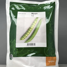 Горох Муціо Syngenta