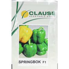Перець Спрінгбокс F1 (Clause)