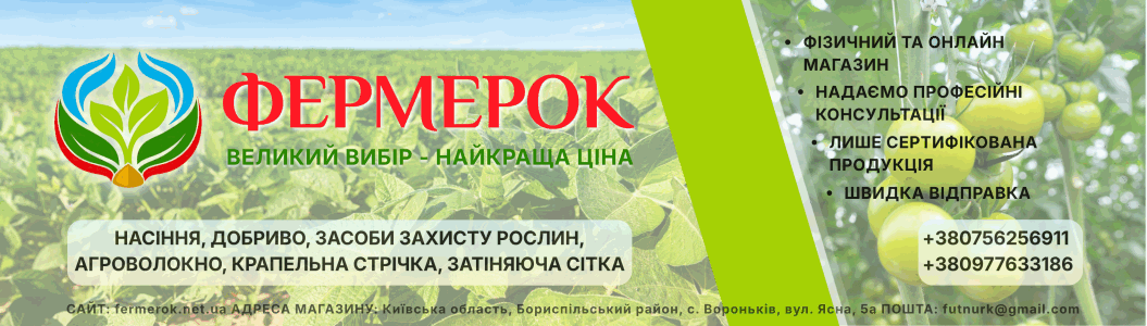 Головна