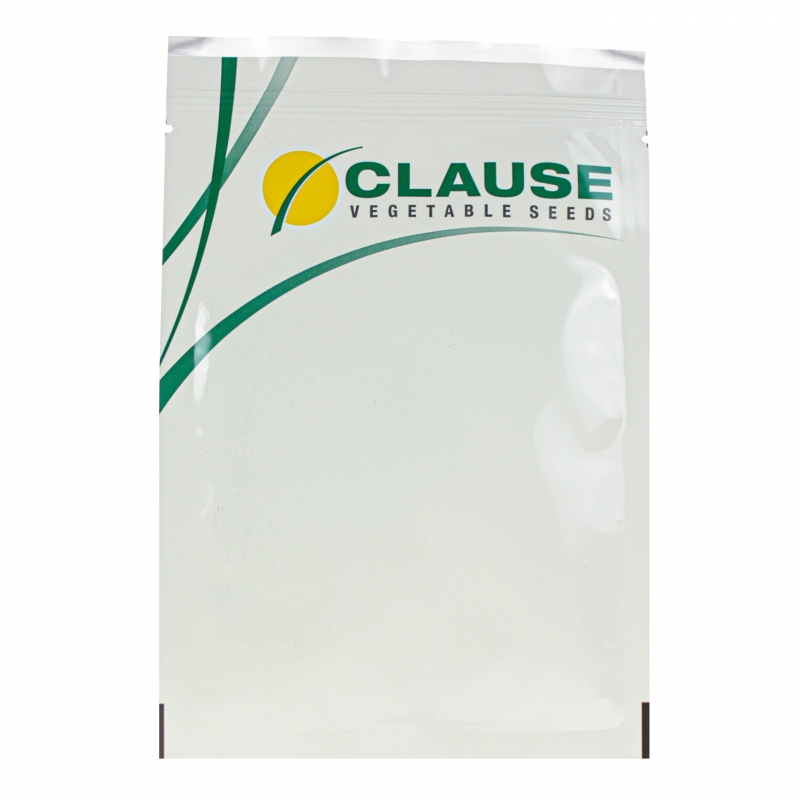 Томат Пінк Кристал F1 (Pink Kristal F1) — Еталон Рожевого Томату